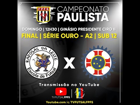 Final Campeonato Paulista de Futsal Série Ouro A2|  Sub 12 | RAPOSAS DA LESTE X CTC VILA EMA