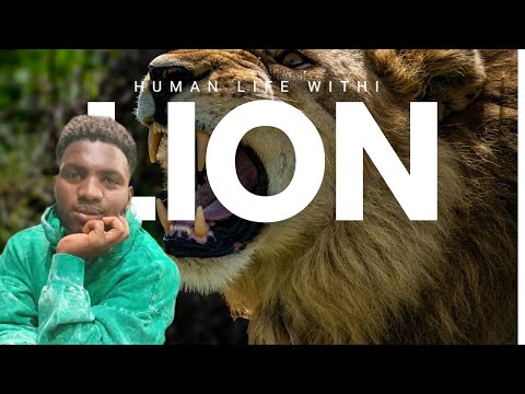 Yanori no Maganu s Video   Jan 10, 2026