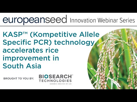 KASP™ (Kompetitive Allele Specific PCR) technology accelerates rice improvement in South Asia