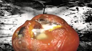 ya no existe la vida by monchitofaraon.wmv