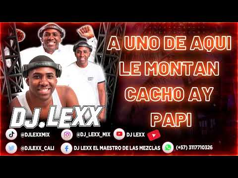 Los Cachos ❌ Salsa Choke ❌ Coke el Aparato ❌ DJ Lexx
