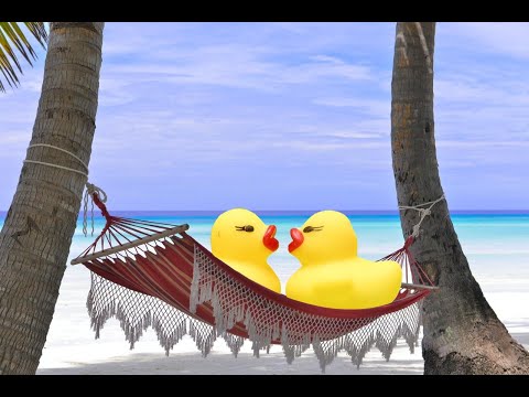 Cempasúchil - Tropilove (Video con Letra)