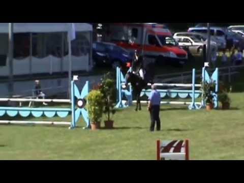 Hengststation Maas J. Hell - Calinello  (Calido I x Lord) *2010