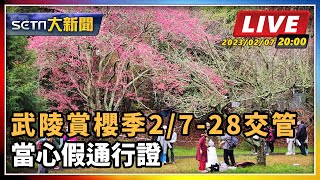 武陵賞櫻季2/7-28交管 當心假通行證