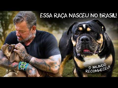 Vídeo 4