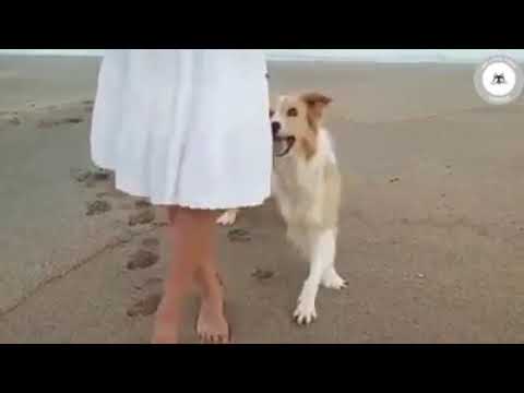 The more I know people, the more I love my dog..💖