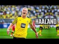 Erling Haaland 2021 - The Deadly Finisher - Goal Show, Skills 2020/2021 (HD)