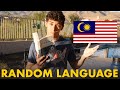 Learning A Random Language In Two Weeks Malay