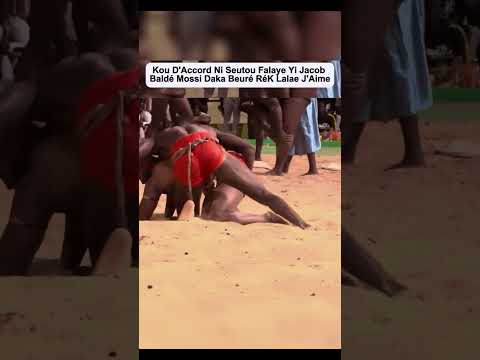 jacob baldé vs sossokh #luttesénégalaise #lambsenegal #sports #adafass #lambsenegal #modoulo #mma