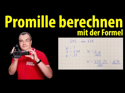 Promille berechnen (mit Formel) - einfach erklärt - mehrere Übungen | Lehrerschmidt