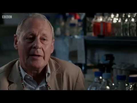 2  Pain, Pus and Poison The Search for Modern Medicines   Pus   BBC HD ZigCOM