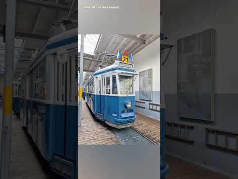 Tram Museum der VBZ Zürich ZH/Fotos 1/    Impressionen