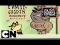 My Gym Partner S A Monkey Lyon S Anatomy