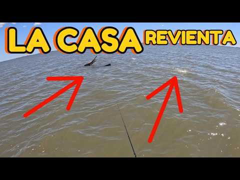 Los palos jugaron en primera! Rio URUGUAY en su mejor momento!