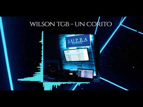 Wilson TGB - Un Corito