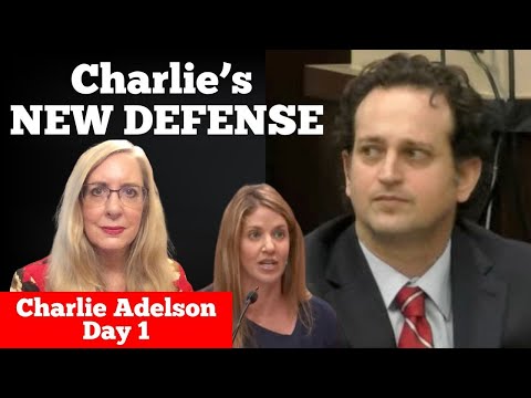 Charlie Adelson's WILD, NEW DEFENSE - Hitman Conspiracy Trial Day 1 - Lawyer Live