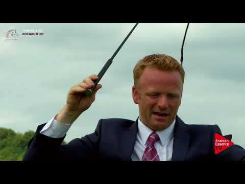 Chantilly 2017 AHO World Cup - Fillies Champioship