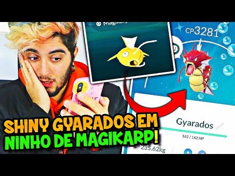 POKÉMON GO 2 #13 - PROCURANDO SHINY GYARADOS EM NINHO DE MAGIKARP !!
