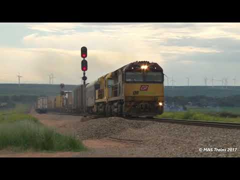 Aurizon Intermodal 5PM1 - Australian Freight Train