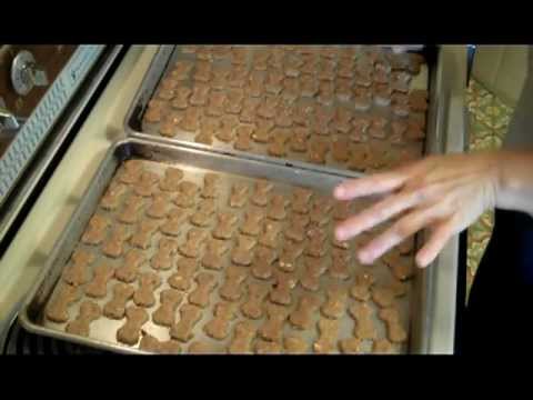 download lagu mp3 mp4 Spent Grain Dog Treats Recipe, download lagu Spent Grain Dog Treats Recipe gratis, unduh video klip Spent Grain Dog Treats Recipe