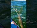 Video Thumbnail for Wait!! let me tell you something!!  #shorts #fishing #pike