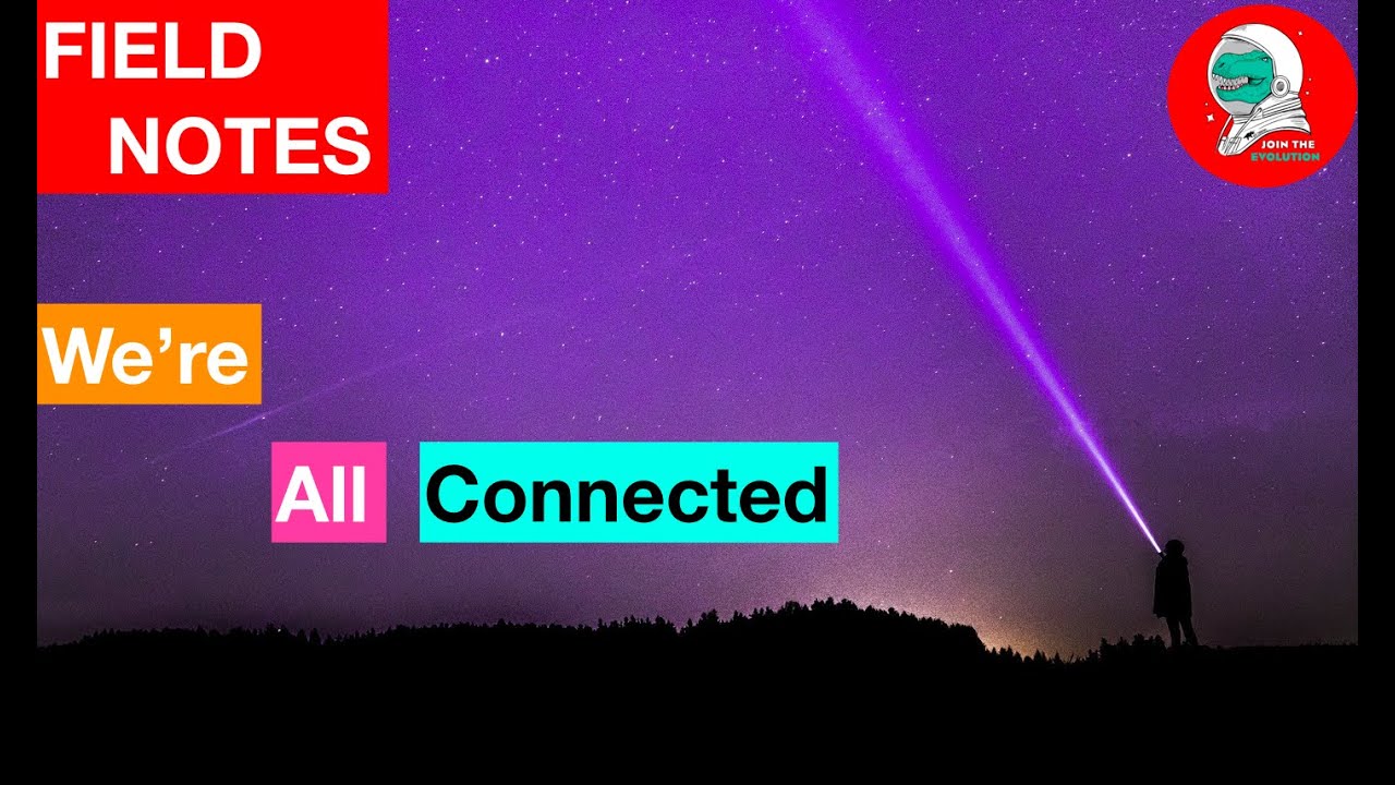 Field Notes: We're All Connected