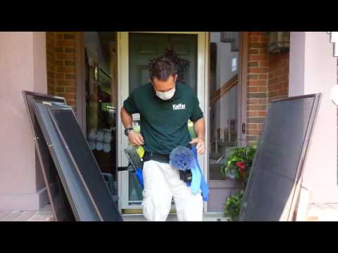 How to Deep Clean Window Screens