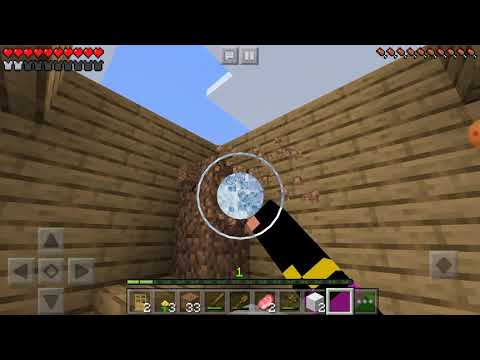 Gioco minecraft costruiamo una casa  #1