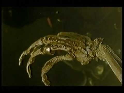 THE UNINVITED - Ep.1 - Pt.4 of 4