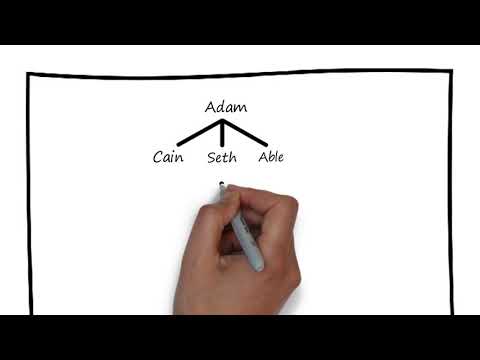 Lesson #2 Family Tree, Old Testament Overview Christian Bible Study