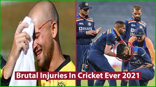 Top 7 Serious Injuries In Cricket Ever 2021 | Brutal Injuries | Cricket Best Clips