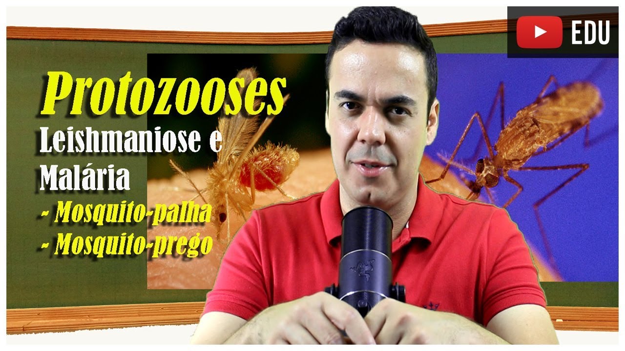 Protozooses Leishmaniose e Malária