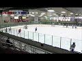 LTU Men's Ice Hockey | LTU vs Rochester University | Live Stream 1-12-24