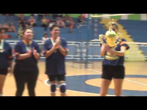 Voleibol de promissão