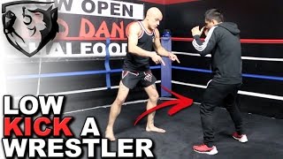 How to Low Kick a Wrestler in MMA (Without Getting Leg Caught)