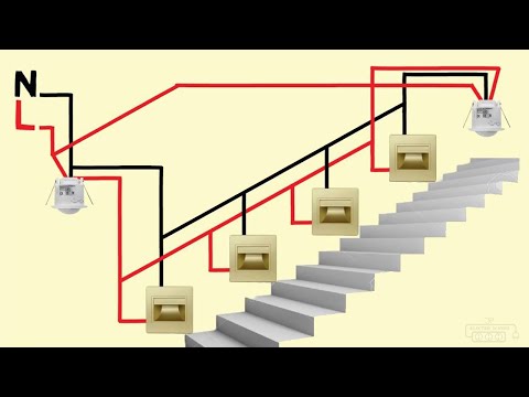 Step 5 preview