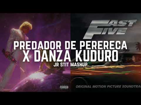 PREDADOR DE PERERECA X DANZA KUDURO (Jr Stit Mashup)