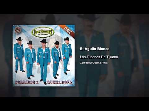El Águila Blanca - Los Tucanes De Tijuana [Audio Oficial]