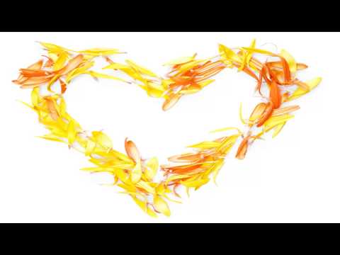 David Garrett - Por una cabeza