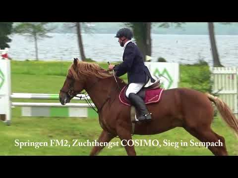 Kathriner's Freiberger - Jahresrückblick 2017