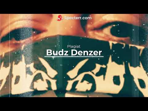 Budz Denzer - Plagiat
