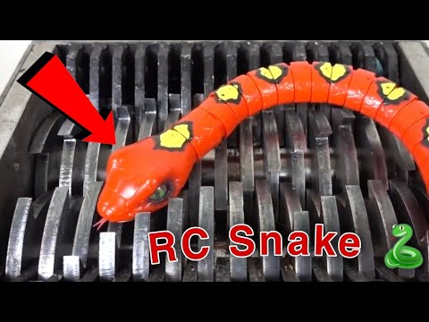RC Fastest Naja Black King Cobra Unboxing & Testing - Chatpat toy tv