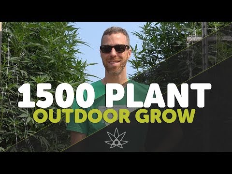 download lagu mp3 mp4 Farm Tours Oregon, download lagu Farm Tours Oregon gratis, unduh video klip Farm Tours Oregon