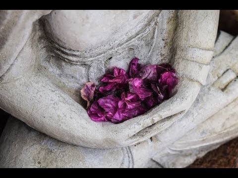 La Saggezza del Tao -5