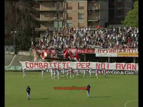 Carpi Chioggia