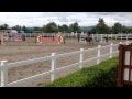 Thomas O Brien And Guinness Barnadown 4 Year Old Qualifier