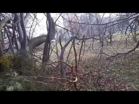 SEBASTIAN ŻMUDA - O UŻYWKACH, PIWIE I RÓŻNE CIEKAWE CIEKAWOSTKI