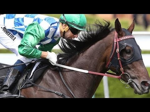 2014 Lexus Stakes (Hotham Handicap) G3 - Signoff (圓滿結束) - J Moreira