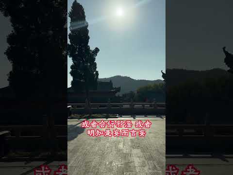 伽藍經 第272個佛教故事 #佛教#业#修行#佛陀#伽蓝