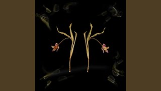 Download lagu Fear in the Night mp3 Download lagu Fear in the Night mp3